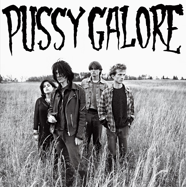 http://shop.thejonspencerbluesexplosion.com/pussygalore/pussy-galore-groovy-hate-fuck-ep.html