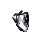 White Pepper (CD, AUSTRALIA)