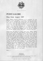 Pussy Galore - Mute Press Release: Biog From August 1987 (PRESS, UK)