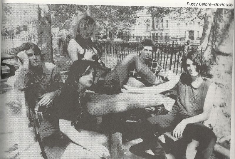 Punks in the Park: Searching for Pussy Galore