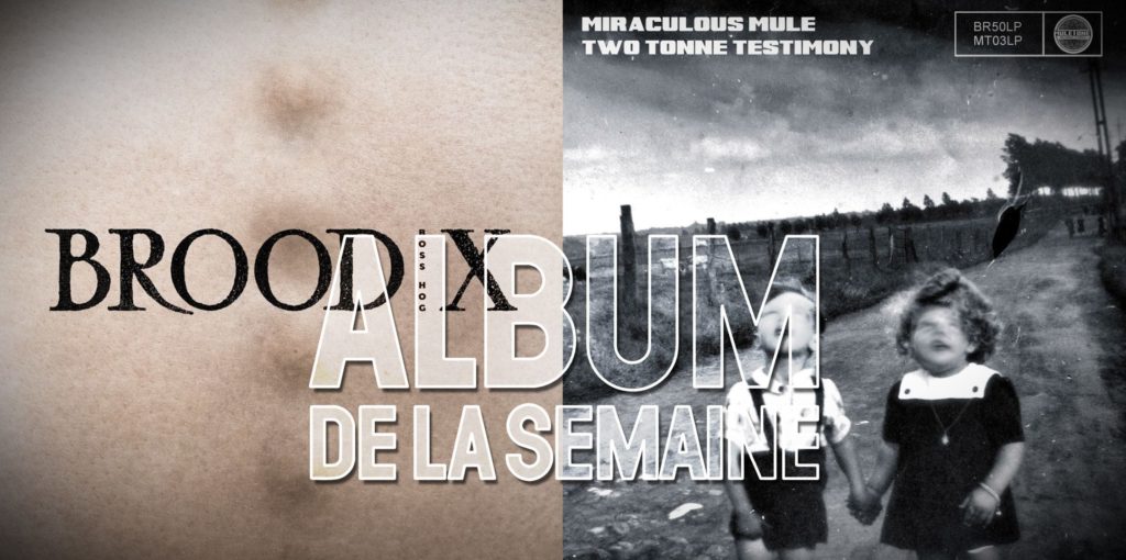 Boss Hog - L'Album de la Semaine / Studio 210, Saint-Denis, France (7 February 2017)