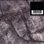 Boss Hog - Brood X (CD, UK)