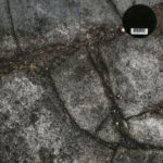 Boss Hog - Brood X (LP, UK)