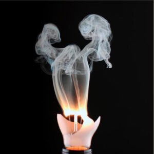 V/A feat. Jon Spencer - The Ghost Variations, with Kevin Brockmeier (PODCAST, US)