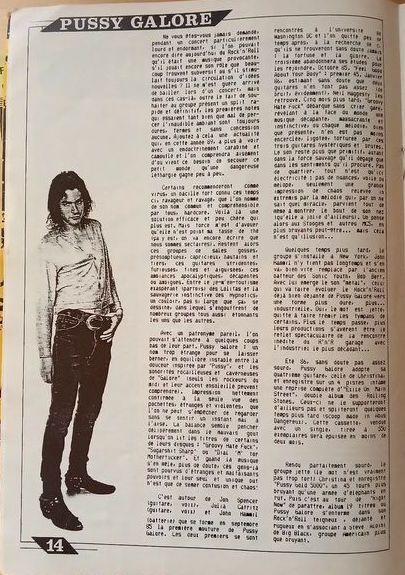 Pussy Galore - Abus Dangereux (PRESS, FRANCE)