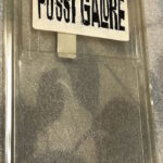 Dial ‘M’ For Motherfucker (LONG BOX, US)