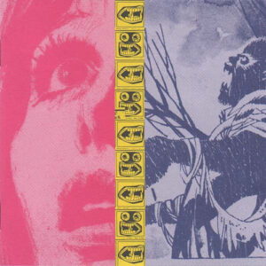 The Jon Spencer Blues Explosion - Plastic Fang (CD, SCANDINAVIA) - Cover