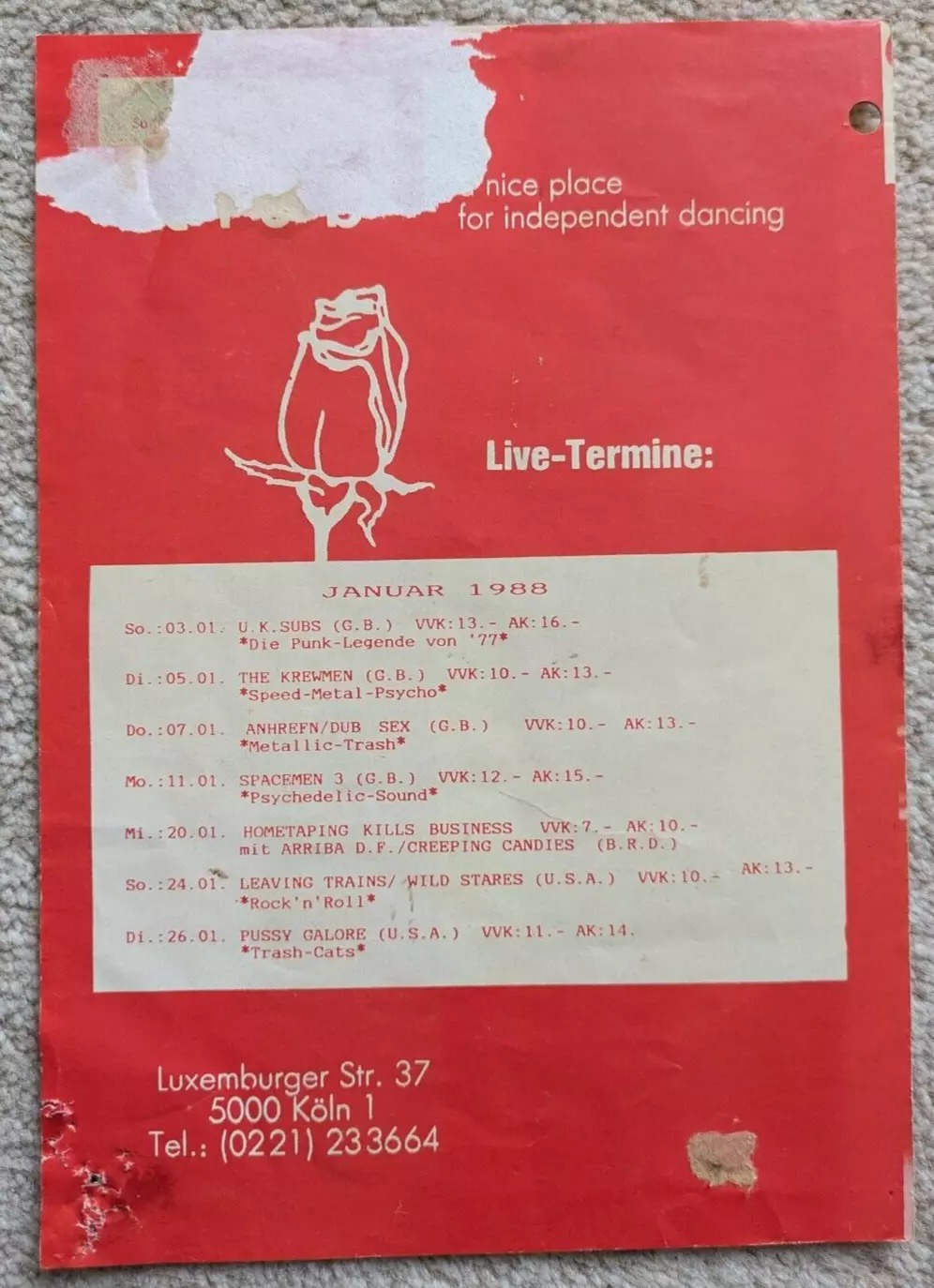 Pussy Galore - Rose Club, Cologne, Germany (26 January 1988)