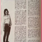 Pussy Galore - Abus Dangereux: Feature (PRESS, FRANCE)